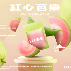 KIS5煙彈 凱斯5號霧化彈 單顆裝 零油漏設計 通用悅刻Relx主機一代