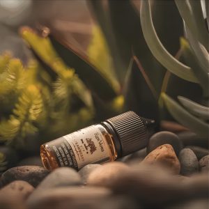 Ripe Vapes VCT 生命之樹：頂級煙草與香草奶油的極致融合！黑版、椰香、雪茄 台灣現貨 711到付