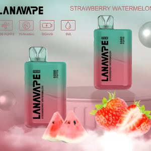 LANA TREND 6000 PUFFS LANA一次性6000口拋棄式時尚設計電子煙