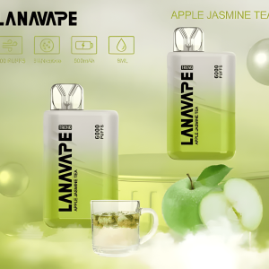 LANA TREND 6000 PUFFS LANA一次性6000口拋棄式時尚設計電子煙