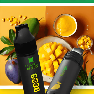 Meel 9000 Puffs 拋棄式電子煙 Type-C充電 一次性煙桿 台灣現貨