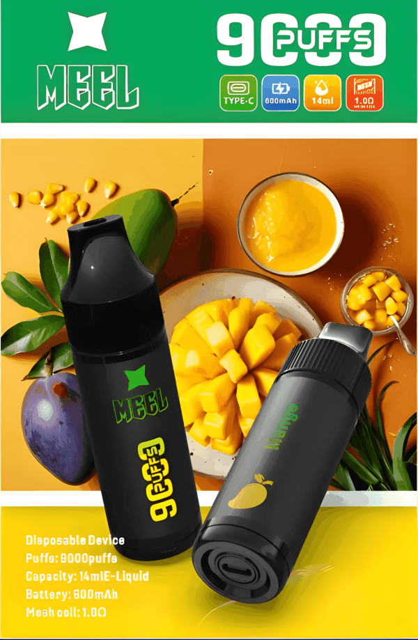 Meel 9000 Puffs 拋棄式電子煙 Type-C充電 一次性煙桿 台灣現貨