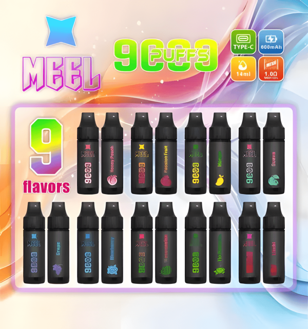 Meel 9000 Puffs 拋棄式電子煙 Type-C充電 一次性煙桿 台灣現貨