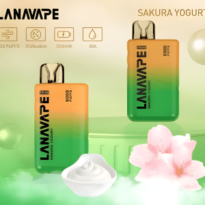 LANA TREND 6000 PUFFS LANA一次性6000口拋棄式時尚設計電子煙