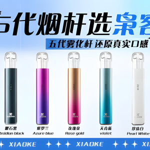 XIAOKE梟客五代電子煙主機 8W 恆定輸出 五代煙桿 通用悅刻 RELX四代五代煙彈 台灣電子煙批發