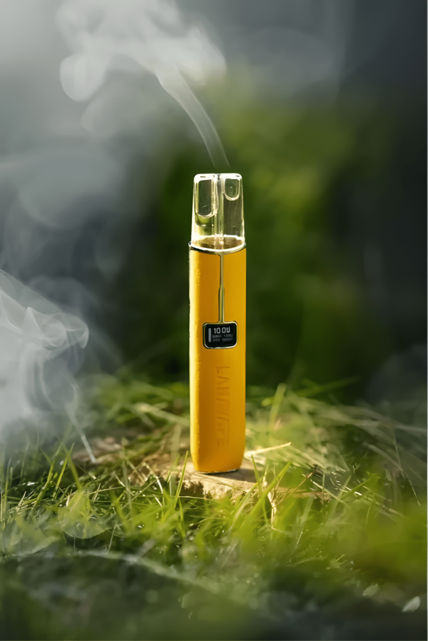 LANA 皮革電子煙主機深度評測：頂級皮革包裹、卓越性能與奢華工藝的完美結合