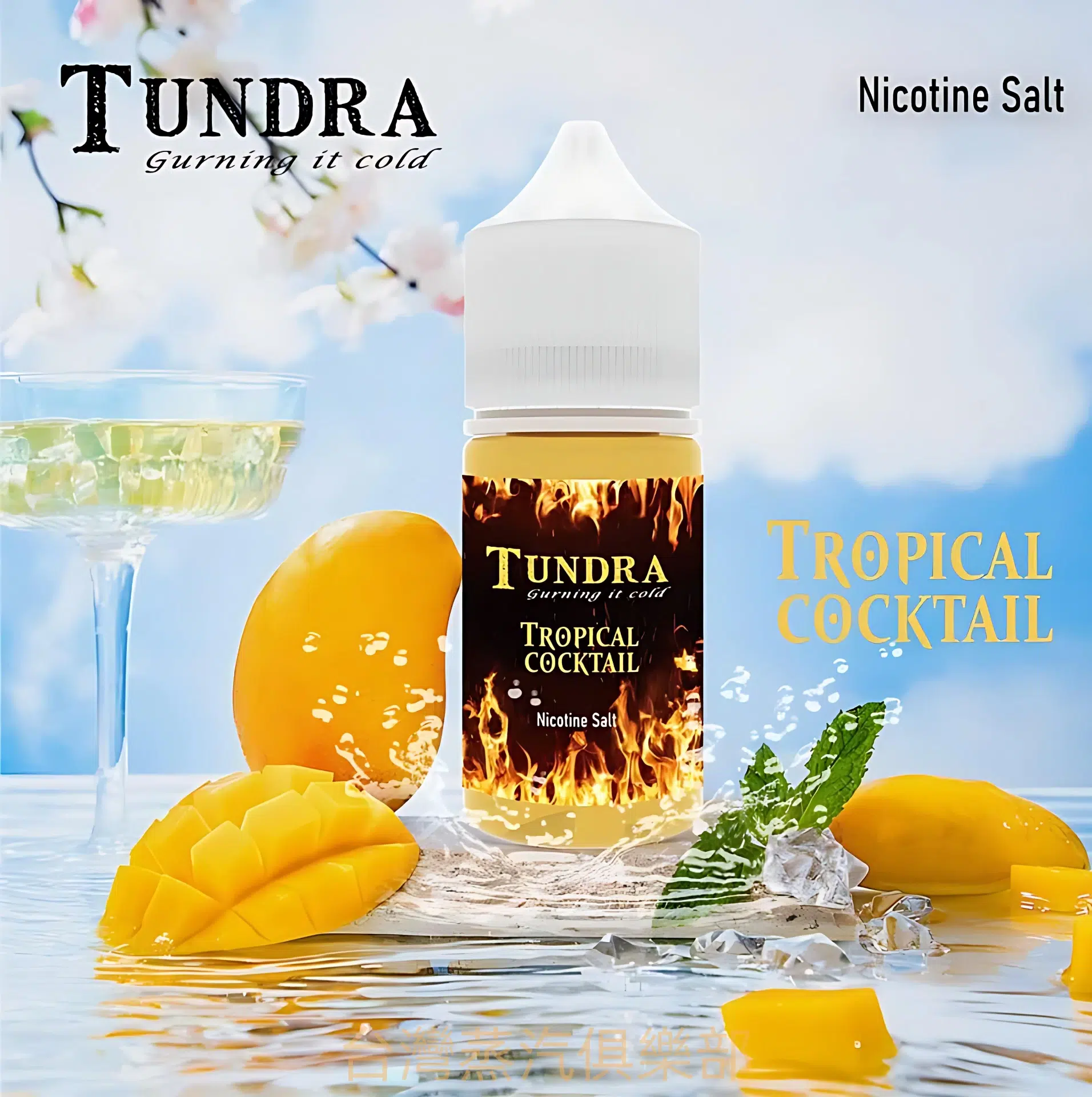 TUNDRA TROPICAL T牌芒果煙油 電子菸油推薦 30ml/30mg 馬來西亞經典品牌 - 蒸氣公社 TUNDRA TROPICAL T牌芒果煙油 電子菸油推薦 30ml/30mg 馬來西亞經典品牌:圖片 2